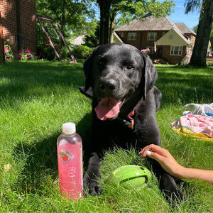 Meet your Posher, Madeline